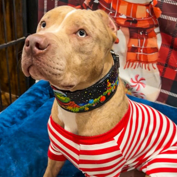 The Grinchmas Limited Collar-3