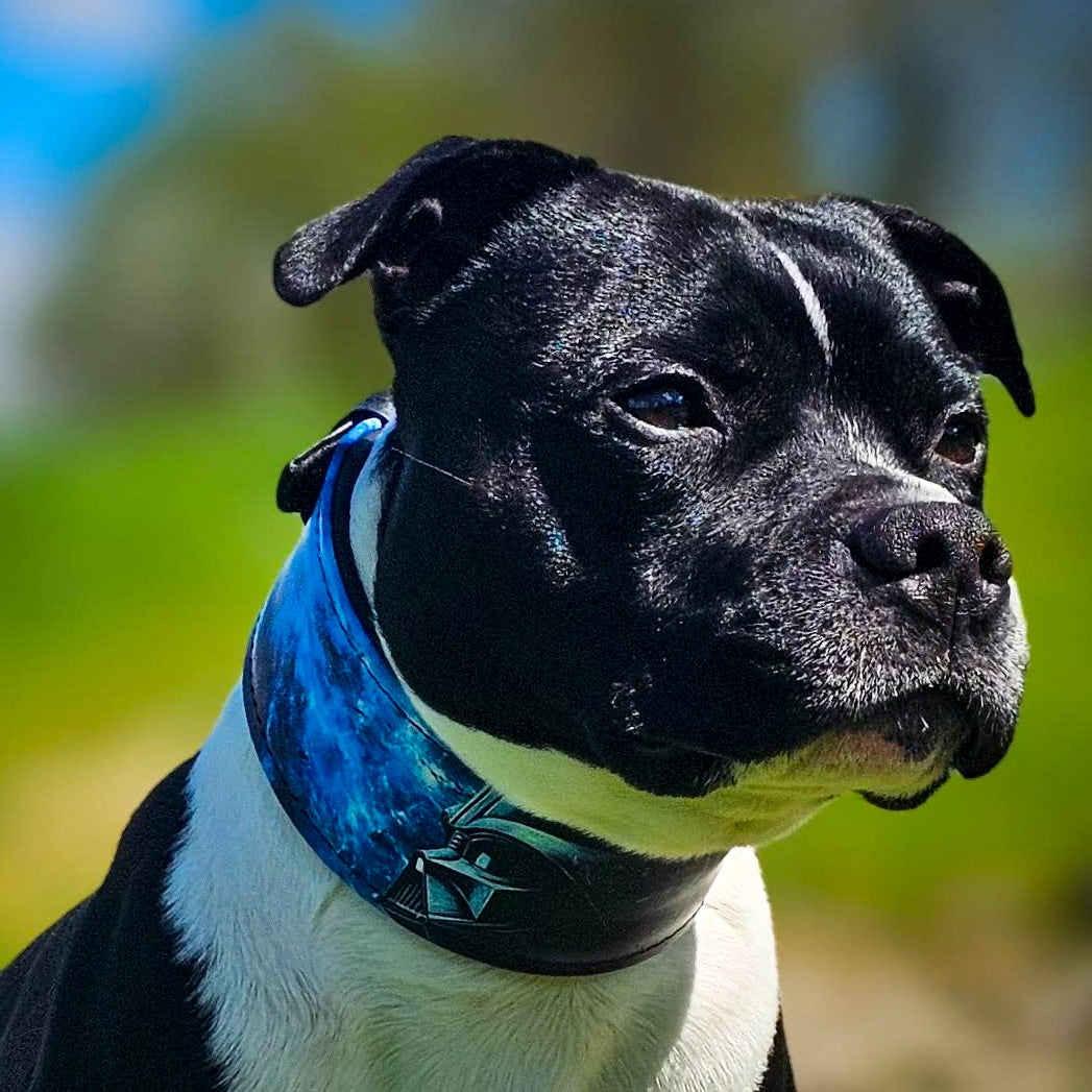 The Darth Force Limited Collar-4