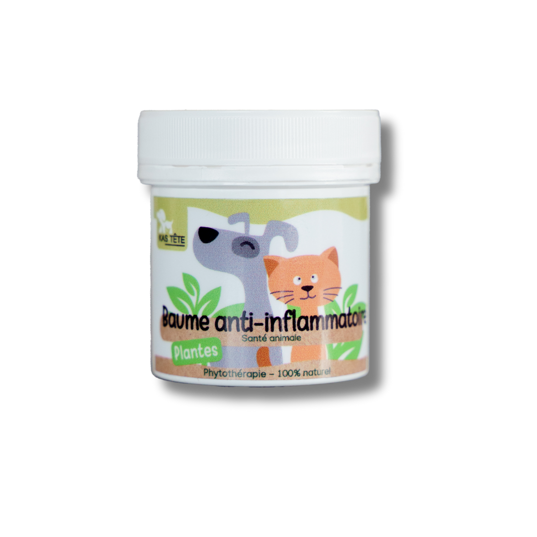 Anti-inflammatory balm 80g
