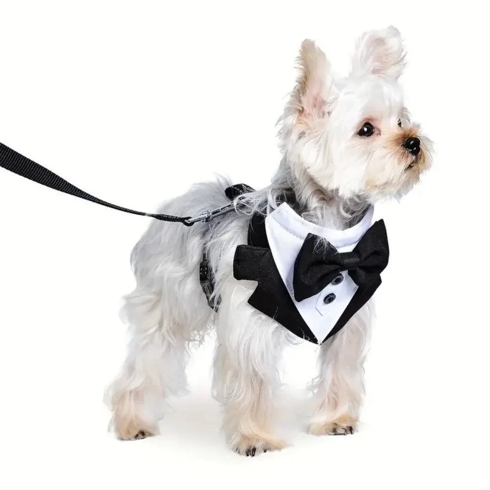 New Polyester Dog Tuxedo Kit Soft Breathable Pet Engagement Costume Black Blue with Bow Tie Dog Shirt Suit Pet Supplies