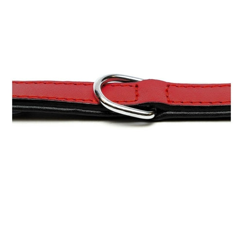 Collier pour chien Gloria rembourré rouge (30 x 1,5 cm)