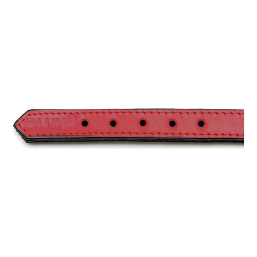 Collier pour chien Gloria rembourré rouge (30 x 1,5 cm)