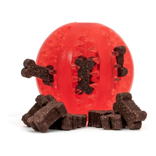 Jouet pour chien Gloria Soins dentaires TPR Couleurs assorties (7 cm)