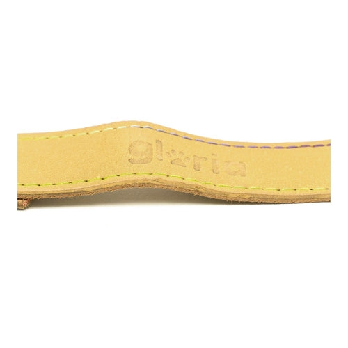 Laisse pour chien Gloria Oasis 1,5 x 100 cm Jaune