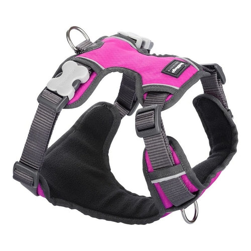 Harnais pour chien Red Dingo rembourré fuchsia taille S