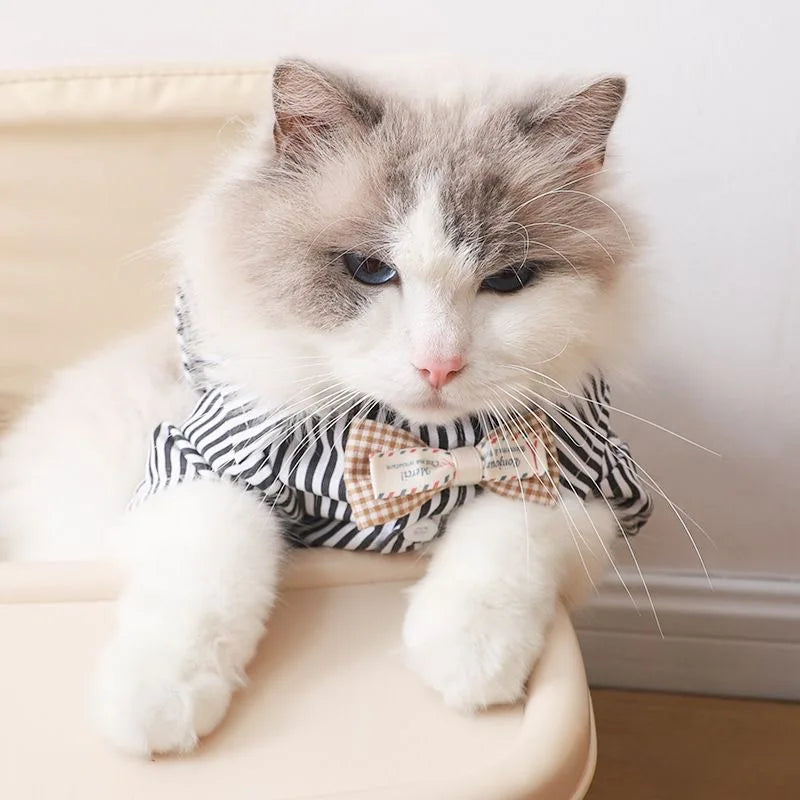 Pet Cat Dog Shirt with Bow Tie Striped Short Sleeve Pet Clothing for Small Dogs Summer Shirts for Teddy Pomeranian Bichon