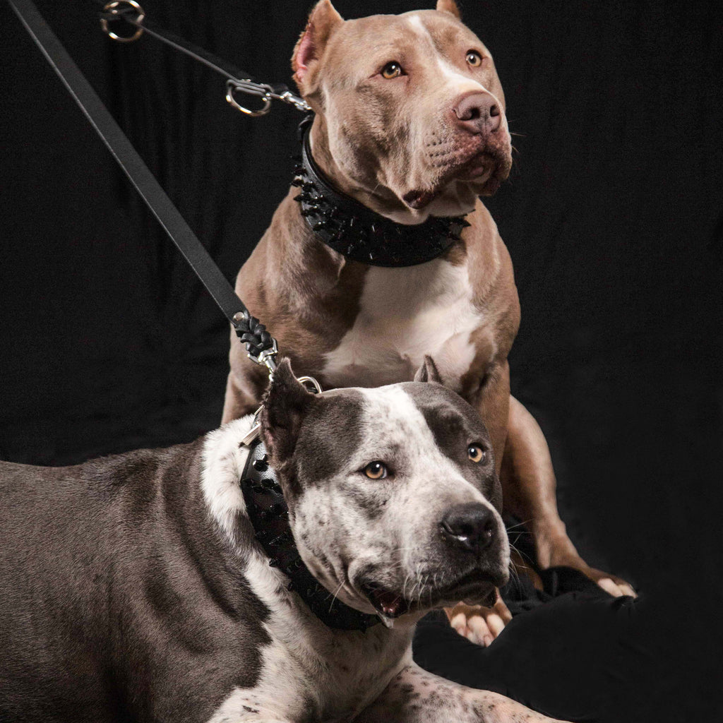 The Bestia multi purpose Police leash