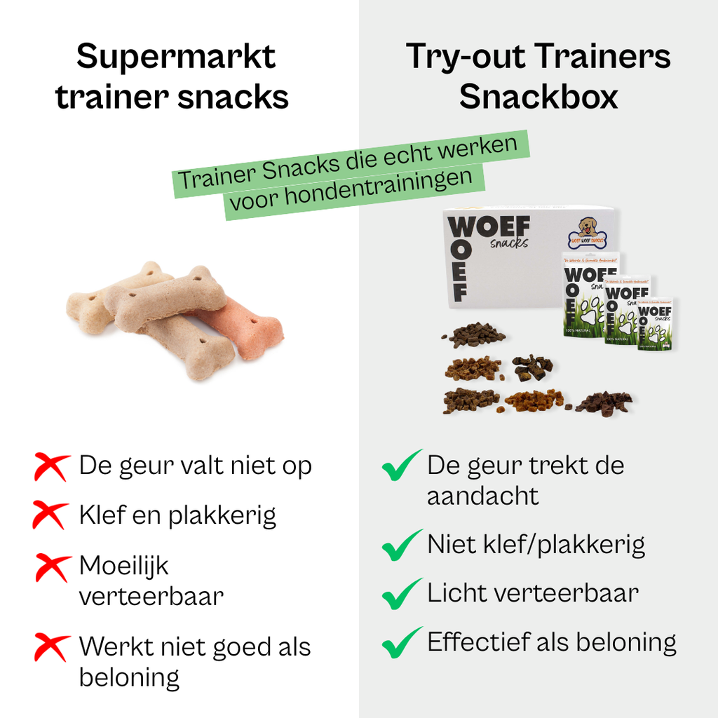 Try-Out Trainers Snackbox-2