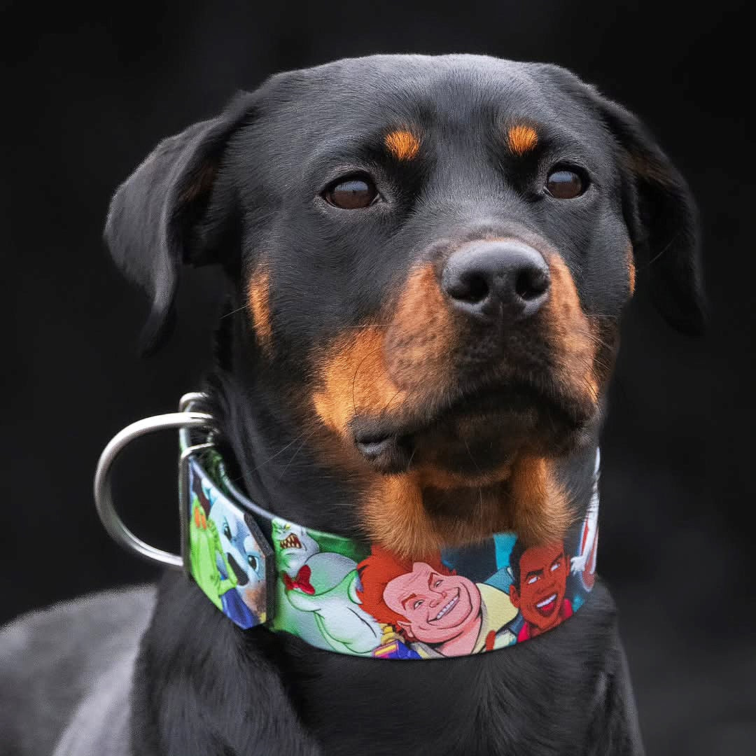 The “Ghosts” collar -LIMITED-4