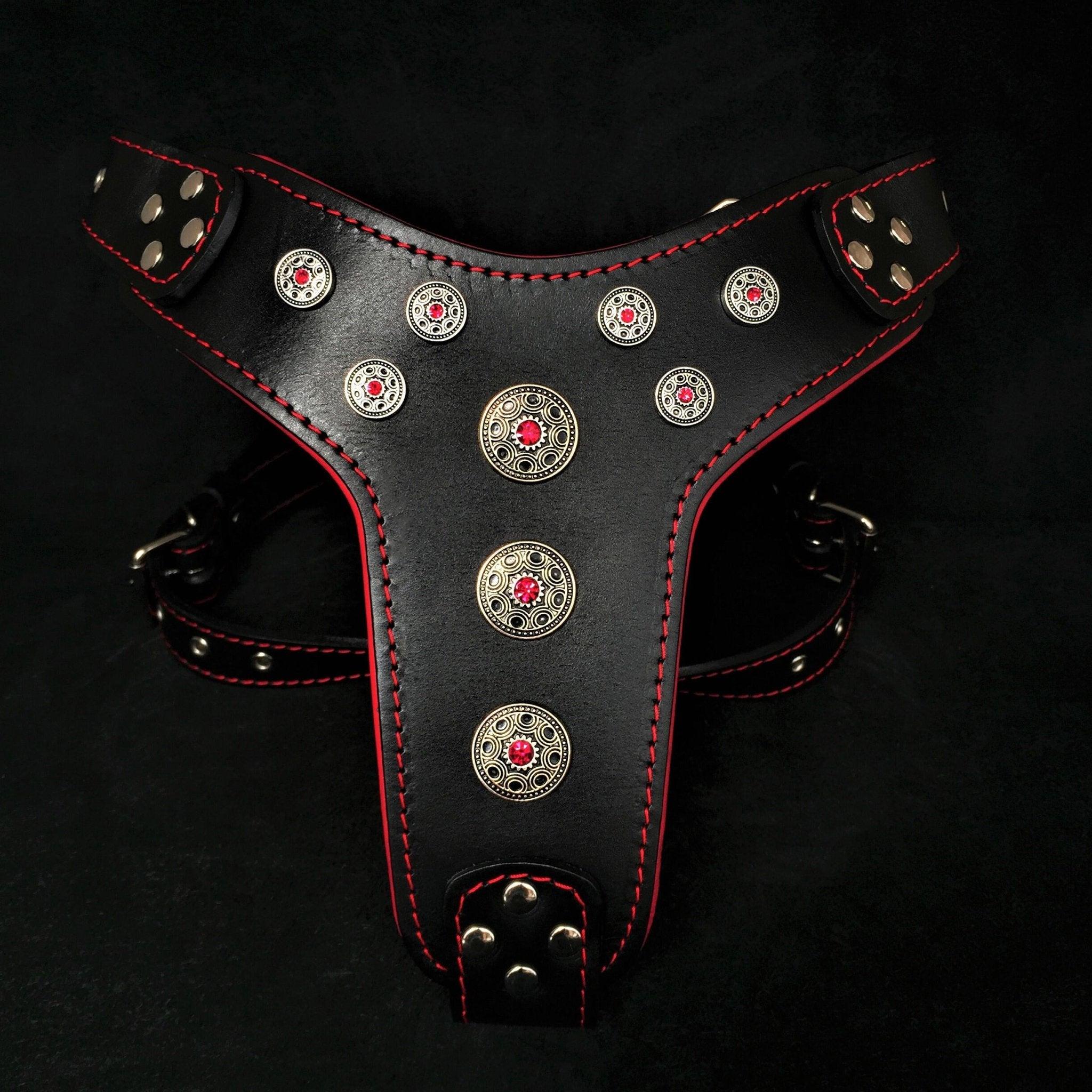 ''Bijou'' harness Black & Red for big dogs-0