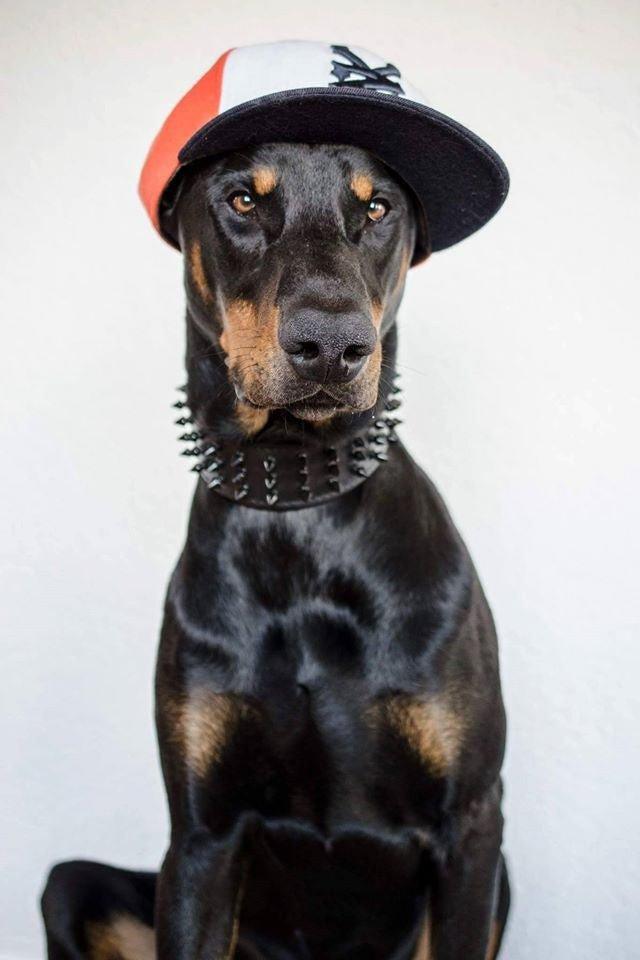 Collier « Géant Noir »