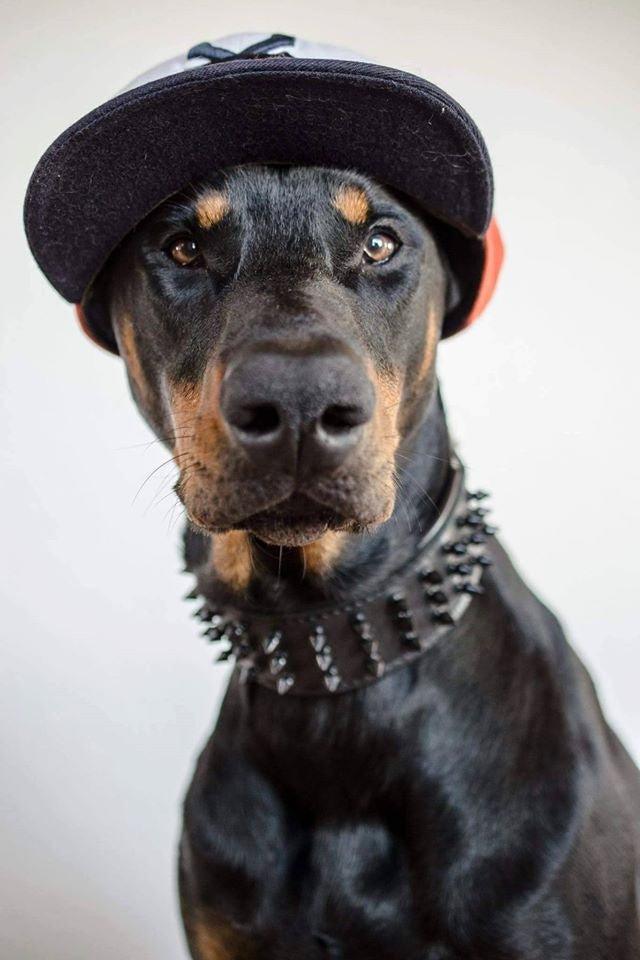 Collier « Géant Noir »