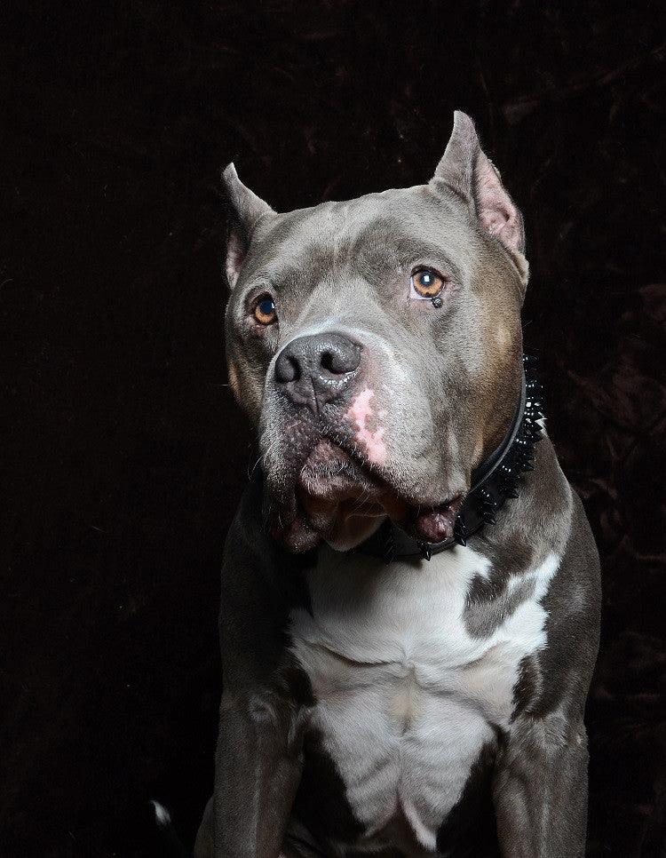 Collier « Géant Noir »