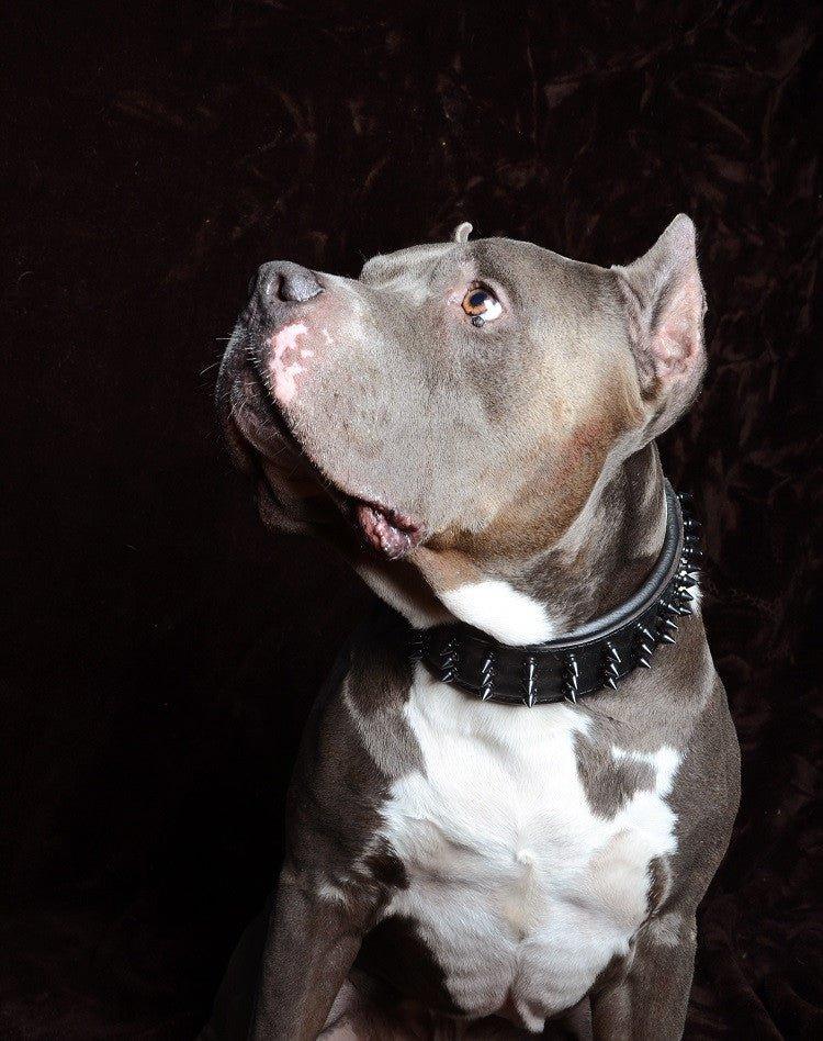 Collier « Géant Noir »