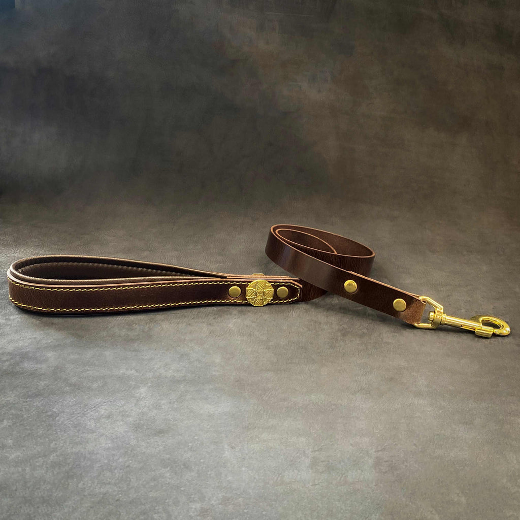 Laisse Maximus Gold de 2,5 cm de large