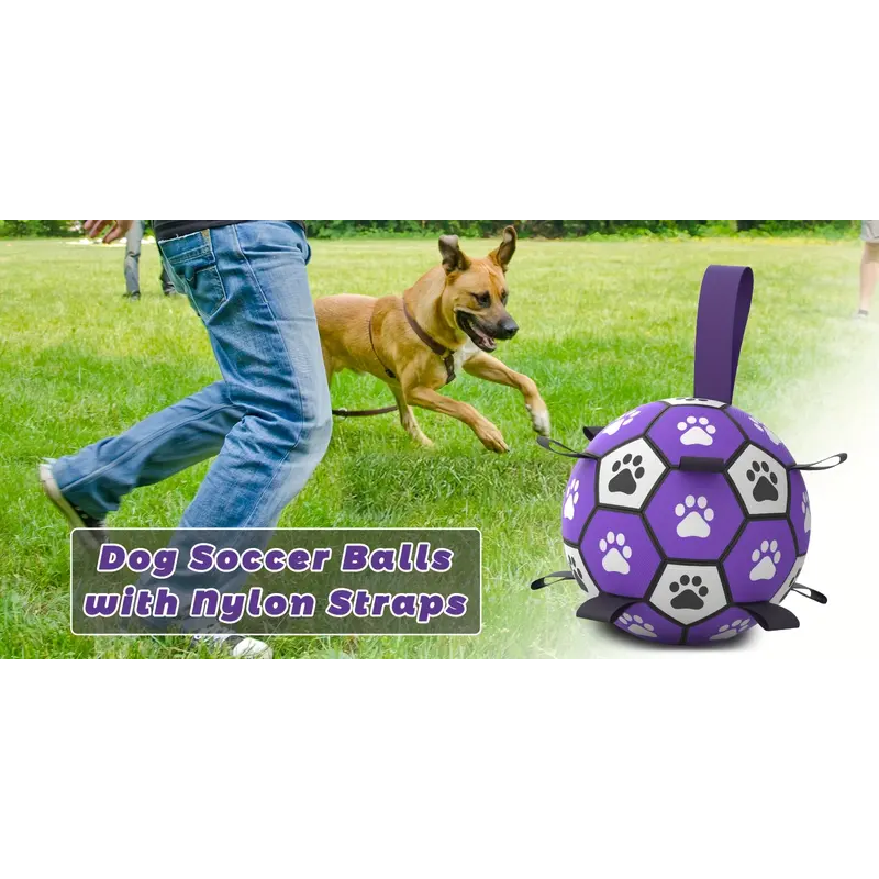 Rubber Dog Durable Soccer Ball with Straps-4