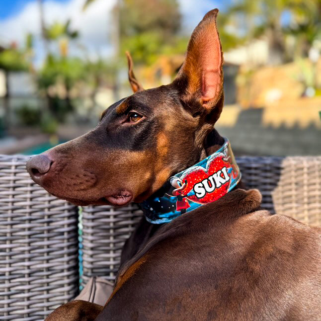 Coffret M&M's en édition limitée