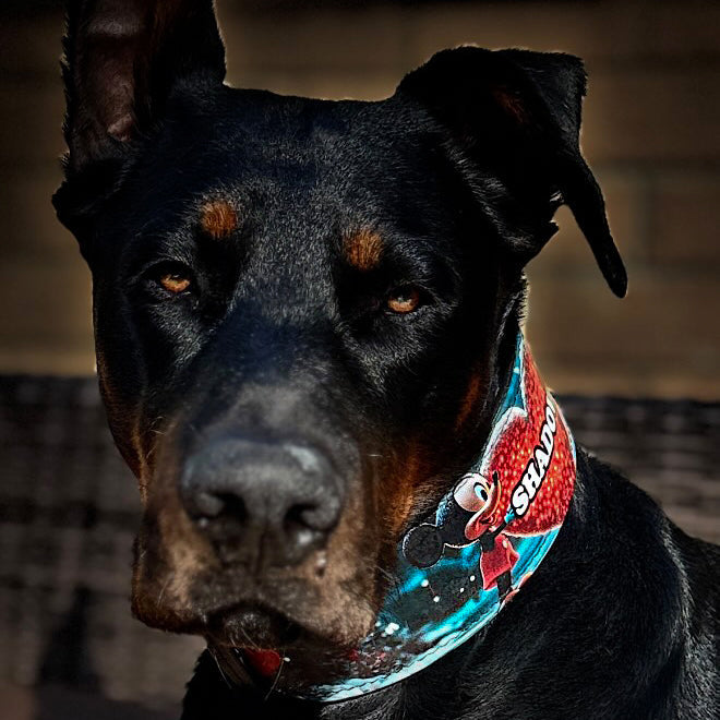 Coffret M&M's en édition limitée