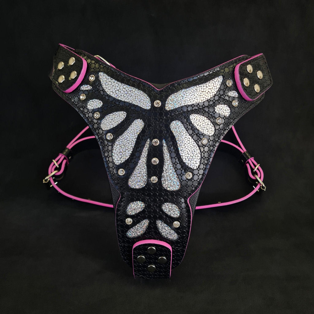 The ''Ariel'' harness