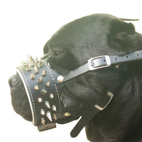 Le museau « Danger »