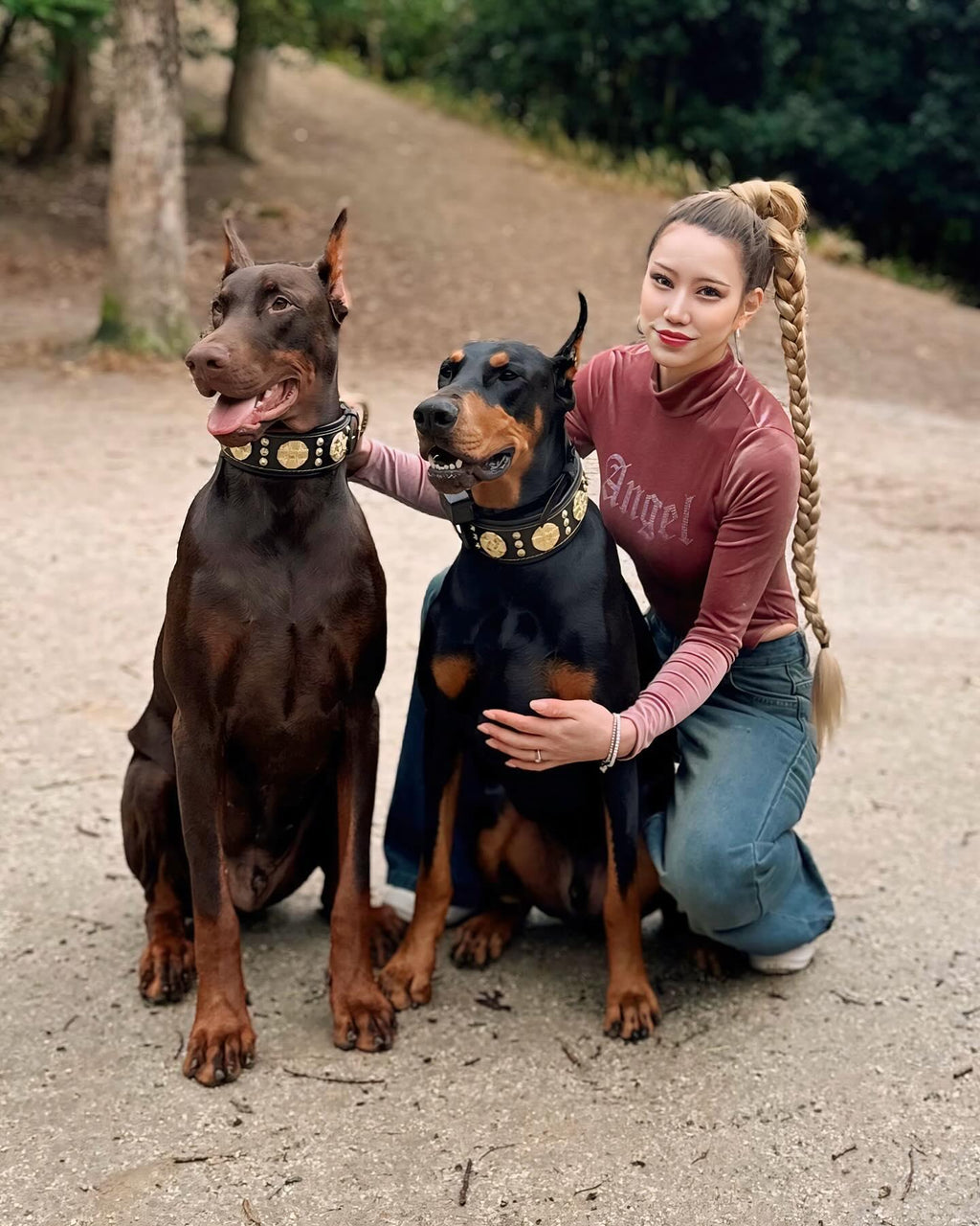 Le collier « Maximus » de 6,35 cm de large, noir et or