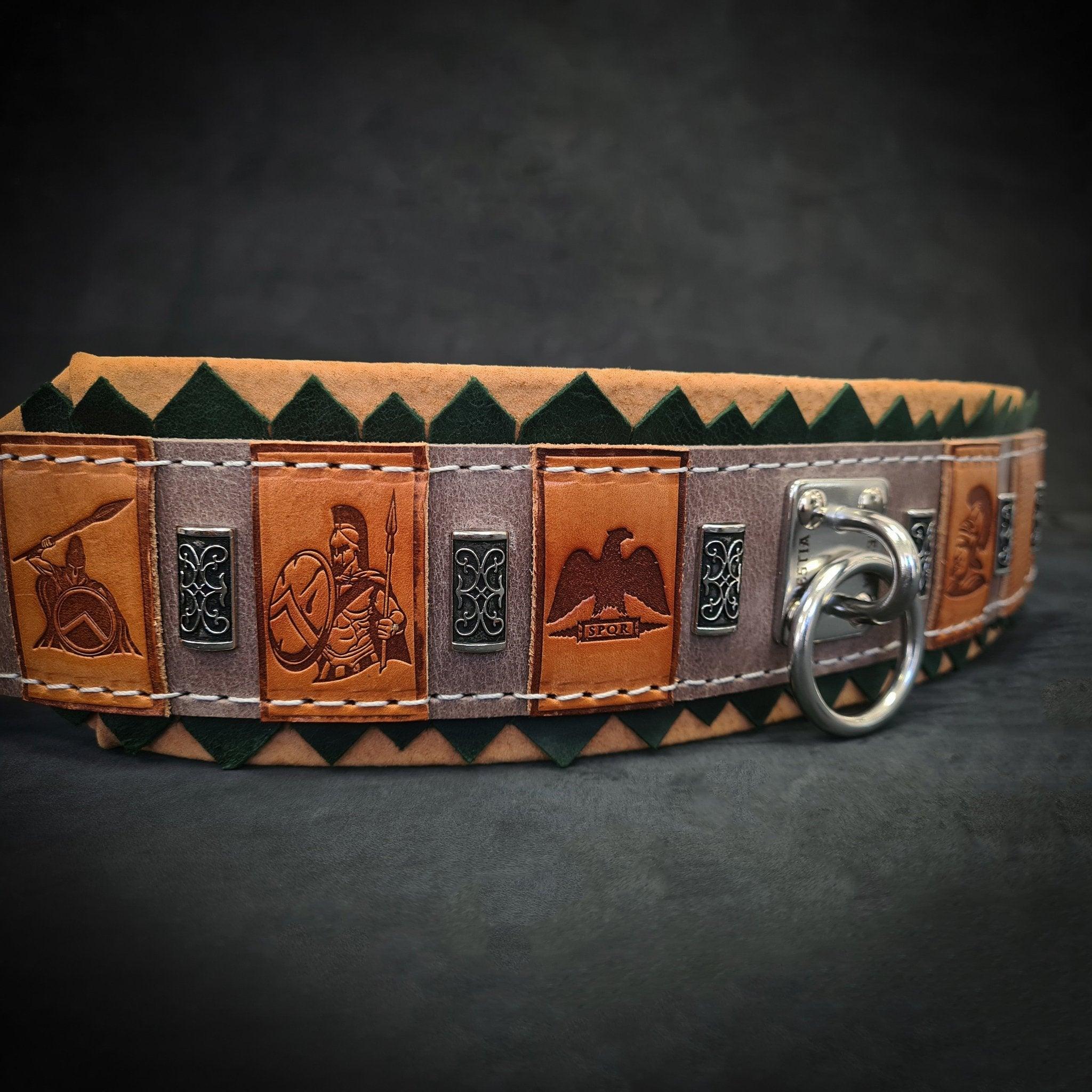 The ''SPQR'' Dog Collar