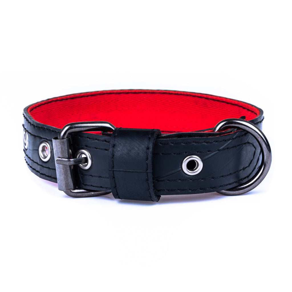 Eco Friendly Recycled Inner Tube Vegan Dog Collar-3