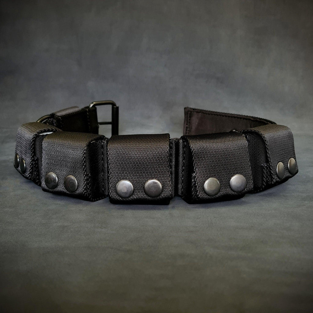 Weighted dog training collar. Large breeds. 5 lbs total. removable weights